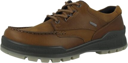 ECCO Men's Track 25 Low Gore-tex Waterproof Hiking Shoe